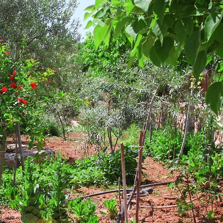 Hani Inn Λυγουριό Εξωτερικό φωτογραφία