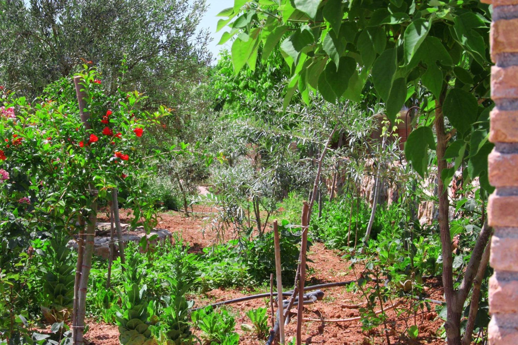 Hani Inn Λυγουριό Εξωτερικό φωτογραφία