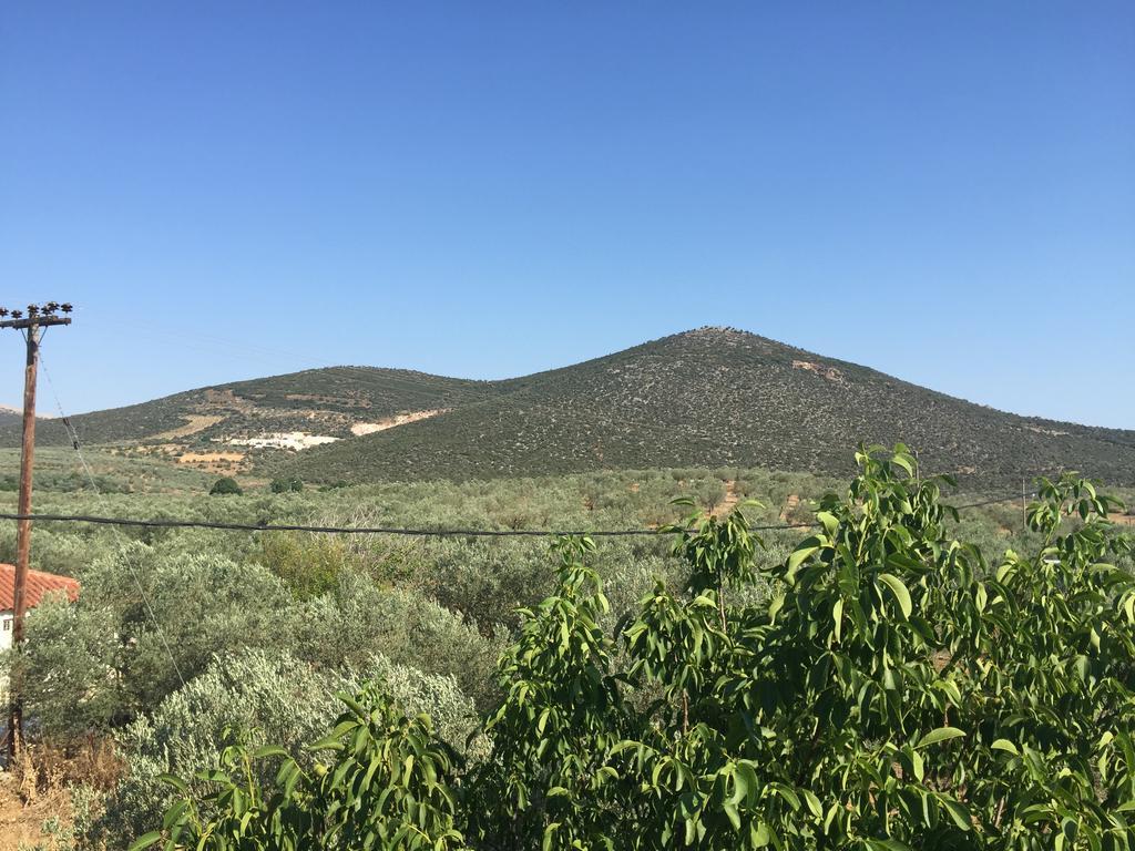 Hani Inn Λυγουριό Εξωτερικό φωτογραφία