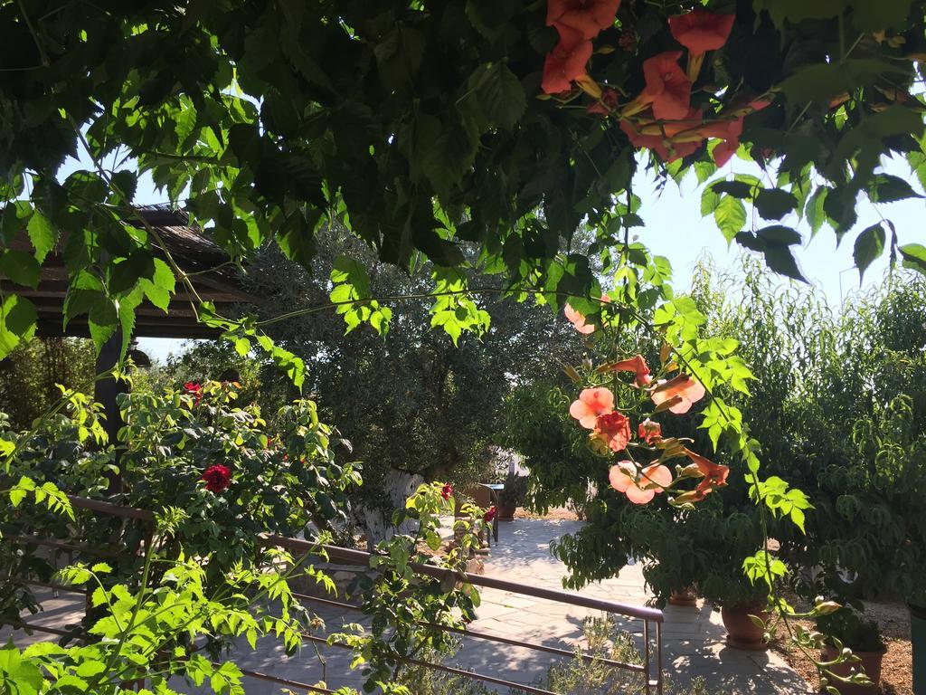 Hani Inn Λυγουριό Εξωτερικό φωτογραφία