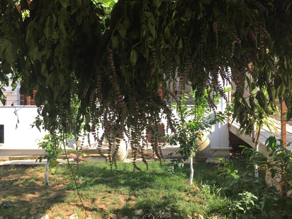 Hani Inn Λυγουριό Εξωτερικό φωτογραφία