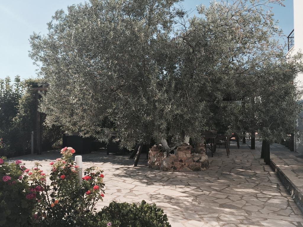 Hani Inn Λυγουριό Εξωτερικό φωτογραφία